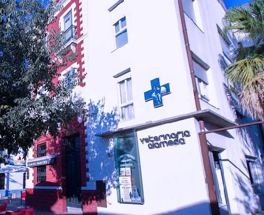 foto de una clinica veterinaria en Sevilla