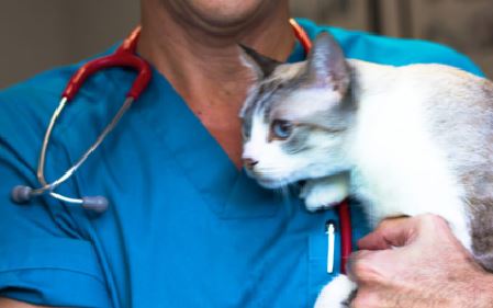 Foto de Veterinaria Alameda en Sevilla