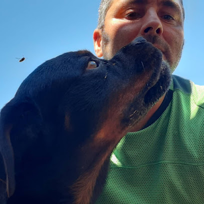 foto de una guarderia de 