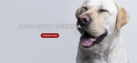 Foto de la Clínica veterinària Animàlia en Girona