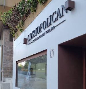 Gato recibiendo cuidado en peluquería felina