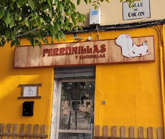 Gato recibiendo cuidado en peluquería felina