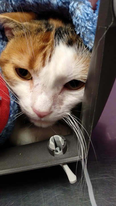 Foto de la Clínica Veterinaria Díaz de la Cebosa en Guadalajara