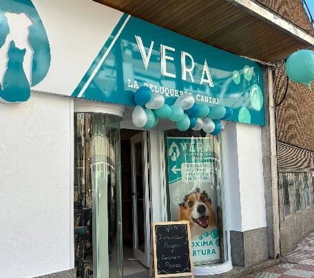 Gato recibiendo cuidado en peluquería felina