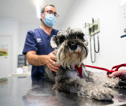 Foto del Hospital Veterinari de Lleida