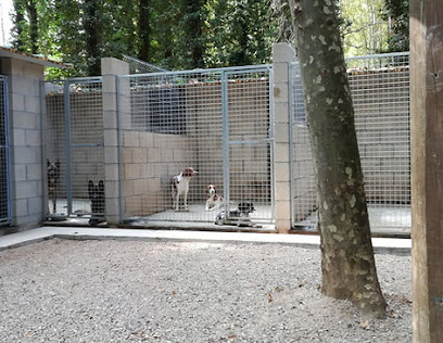 foto de una guardería de gatos en Gerona: Residència canina La Devesa
