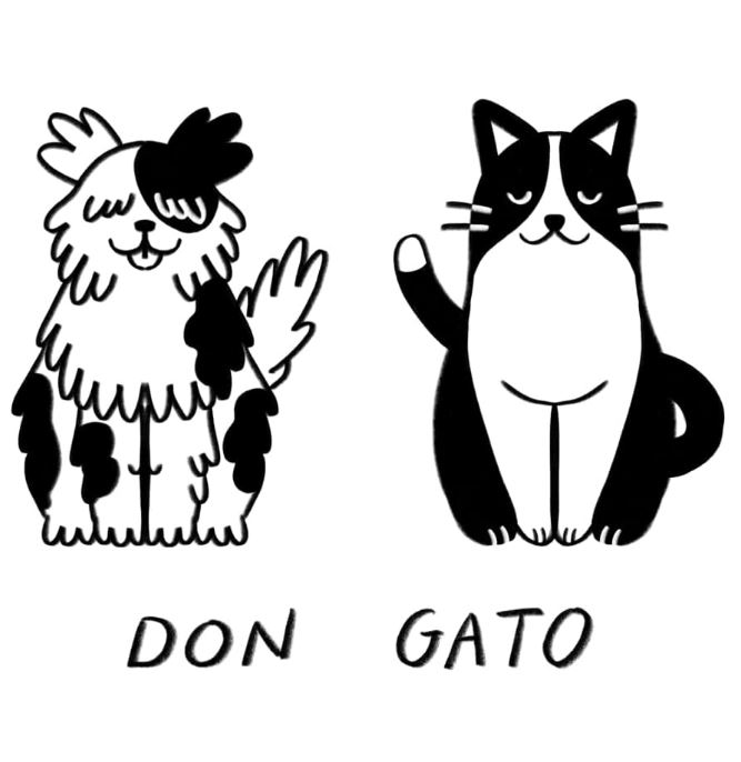 foto de gatos