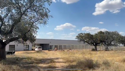 foto de una guardería de gatos en Badajoz: El Encinar Residencia para Mascotas