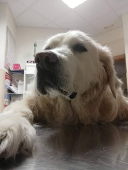 Foto de la Clínica Veterinaria El Fuerte en Guadalajara