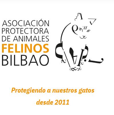foto de gatos