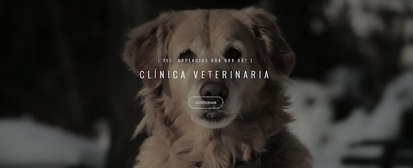 Foto de la Clínica Veterinaria San Froilan en Lugo