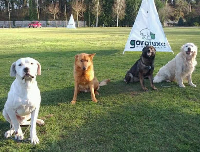 foto de una guardería de gatos en Lugo: Residencia Garatuxa