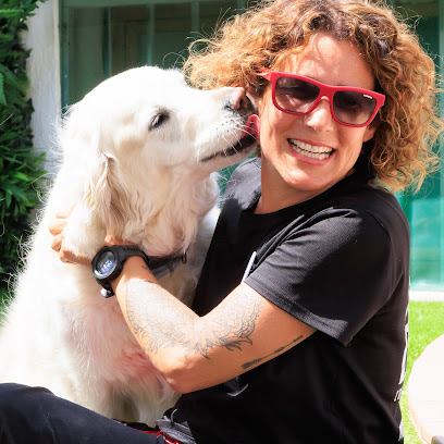 foto de una guardería de gatos en Tarragona: Guardería perros Tarragona. Gemma dogbuddy