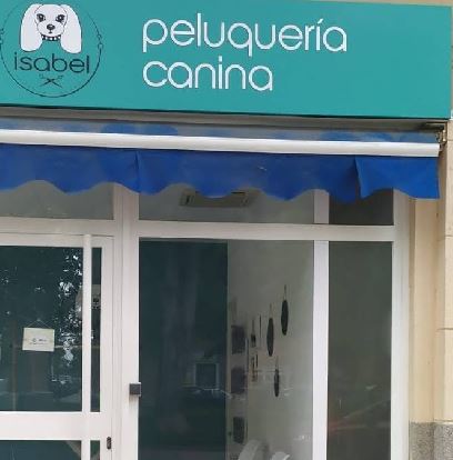 Gato recibiendo cuidado en peluquería felina