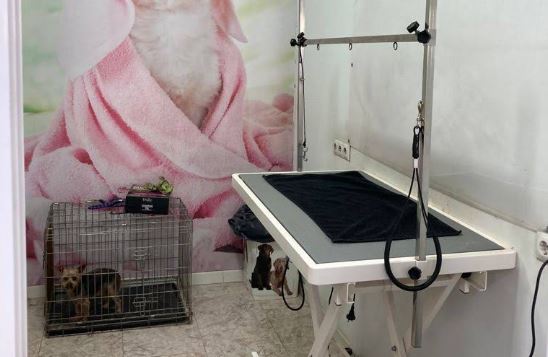 Clínica Ivet Málaga