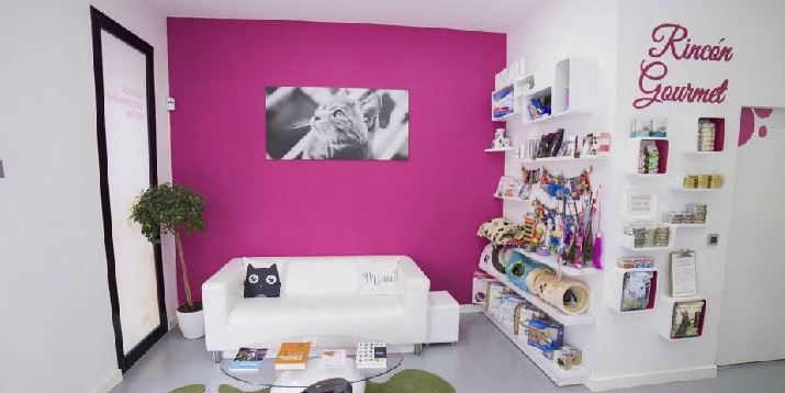 Foto de Centro Veterinario Kato en Sevilla