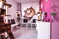 Foto del Hospital Veterinario Kissa en Málaga