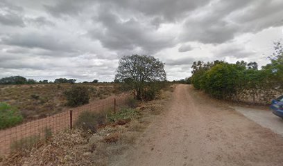 foto de una guardería de gatos en Badajoz: Las Nubes
