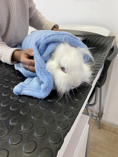 foto de una clinica de Canarias