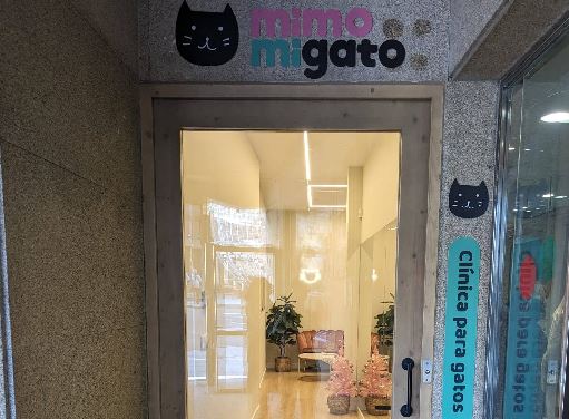 guarderiad e gatos en vigo