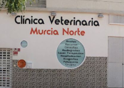 Clínica Veterinaria Murcia Norte - Especialistas en gatos en Murcia