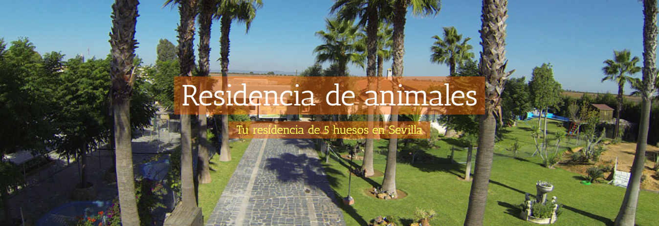 Residencia Felina y Canina Oasis en Sevilla