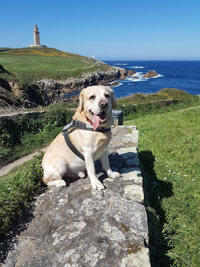 Foto de la Clínica Veterinaria Otter en Lugo