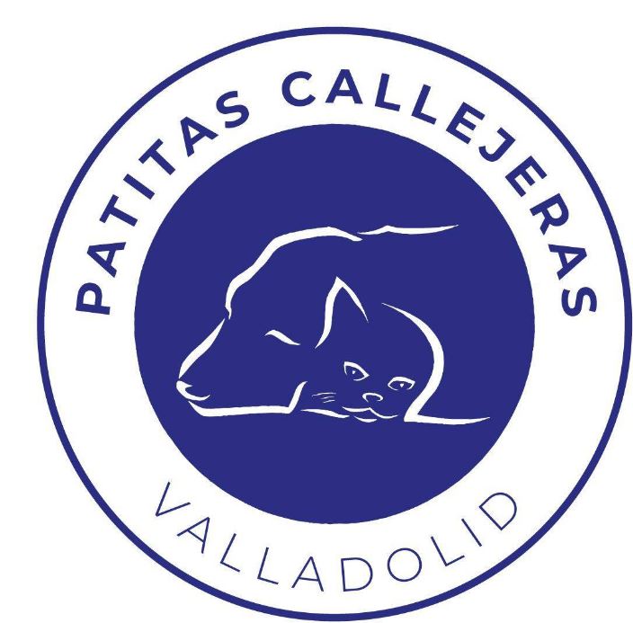 foto de gatos