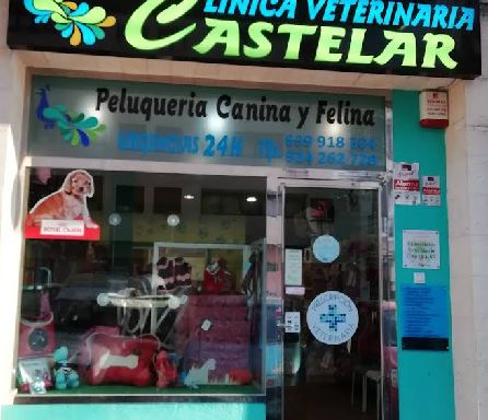 Gato recibiendo cuidado en peluquería felina