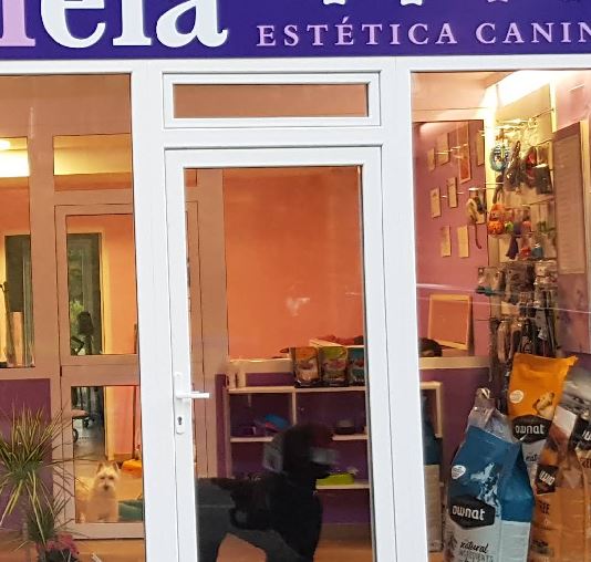 Peluquería felina Canela en Lugo