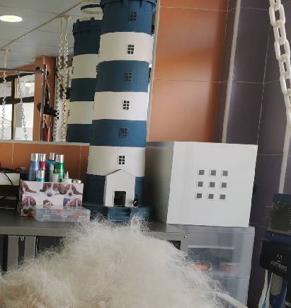 Gato recibiendo cuidado en peluquería felina