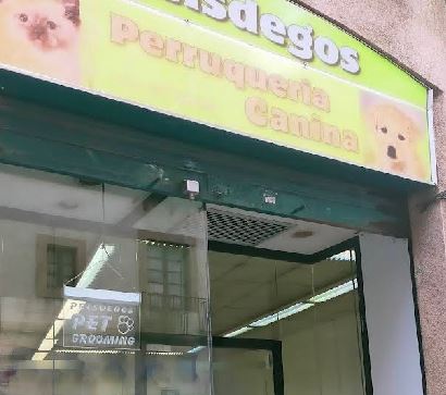 Gato recibiendo cuidado en peluquería felina