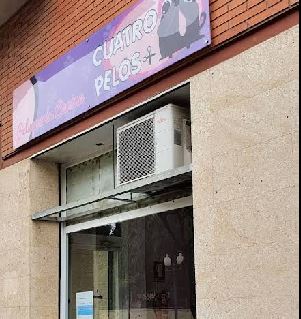 Gato recibiendo cuidado en peluquería felina