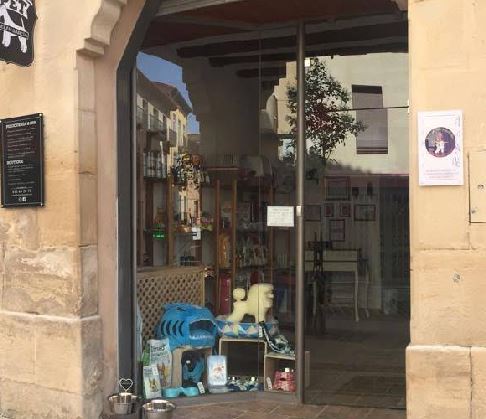 Gato recibiendo cuidado en peluquería felina en Teruel