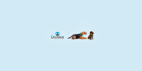 Foto de la Clínica Veterinària Quissos en Girona