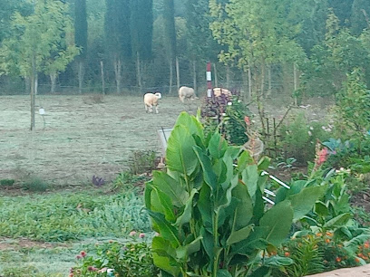 foto de una guardería de gatos en Gerona: Residencia Canina El Rocater