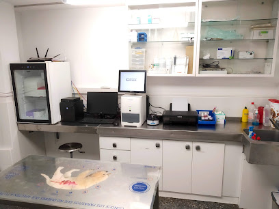 foto de una clínica veterinaria en Mallorca