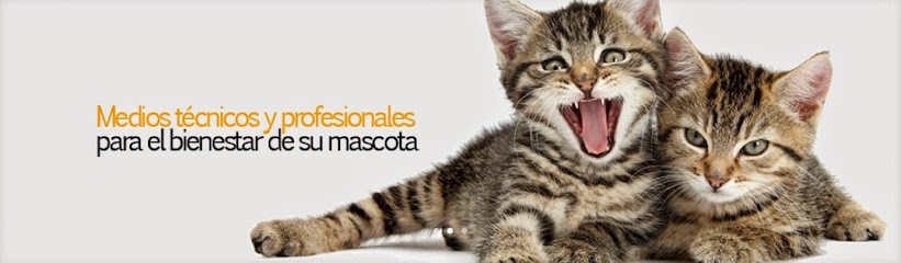 foto de una clinica de Castellon
