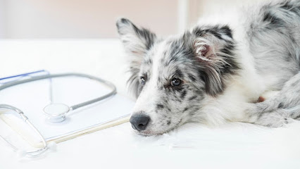 foto de una clínica veterinaria en Mallorca