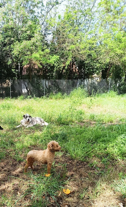 foto de una guardería de gatos en Badajoz: Villa Manuela Dog Hotel